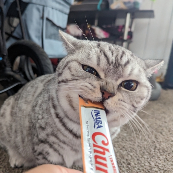 Meet your Posher :) - Picture 2 of 4